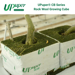 UPuper <span class=keywords><strong>CB</strong></span> Cubos de Lana de Roca de 3*3 Pulgadas para Cultivo Hidropónico/Vertical sin Tierra, Sustrato para Plántulas - Product Image 4