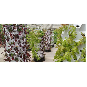 パイナップル植栽タイプ垂直システム水耕栽培タワー - Product Image 4