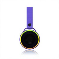 Mini Subwoofer Portable d'Extérieur 5.3 avec Sortie 3W et Batterie Intégrée (200-500mAh) pour la Randonnée, le Bureau et la Maison