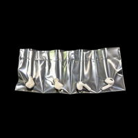 Sac en plastique PE transparent à 4 compartiments |   Pochette d'emballage jetable pour petits articles, écouteurs, bijoux, électronique |   Conception avec trou de suspension