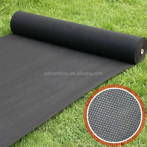 Spécialisé dans la production de tissu <span class=keywords><strong>géotextile</strong></span> non tissé en polyester 100% spunbond, écologique, résistant à la déchirure et anti-âge. - Product Image 5