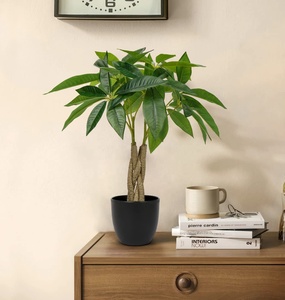 Tik Tok Fengshui tiền giả cây trong nhà giả chậu cây nhân tạo pachira Quà Tặng May Mắn may mắn cho trang trí văn phòng nhà - Product Image 3
