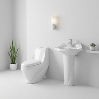 Ensemble WC monobloc élégant avec chasse d'eau double, installation au sol, incluant cuvette en céramique blanche