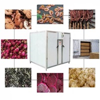 Industriële dehydrator met grote capaciteit, multifunctioneel, voor okra, gember en andere voedingsmiddelen, inclusief droogrekken.