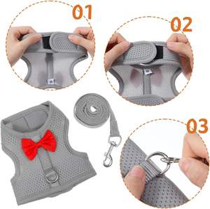 Conjunto De Coleira De Coelho Arnês e Trela De Coelho Macio Respirável Malha Colete com Fivelas De Segurança Guiné Porcos Gatinhos Furões Conjuntos De Trela - Product Image 3