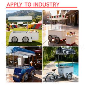 Carrito Triciclo Congelador de Helados <span class=keywords><strong>Comercial</strong></span> para Venta Móvil de Alimentos en Mercado Callejero <span class=keywords><strong>y</strong></span> Venta de Postres Congelados - Product Image 6