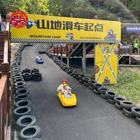 Carros de Luge Económicos para Niños y Adultos, Scooter de Gravedad para Juegos, Equipo de Diversión al Aire Libre, Montaña Rusa de Montaña en Venta