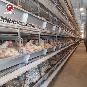 Grande maison de poulet radiocommandée, 50000 oiseaux, portières de ferme de volaille, <span class=keywords><strong>cage</strong></span> pour le kène, le <span class=keywords><strong>pakistan</strong></span>, ghana, uzumakita - Product Image 3