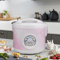 Cuisinière à riz électrique 1,1-2L en acier inoxydable avec cuve antiadhésive, contrôle mécanique du minuterie, chauffage par le bas, portable et écologique