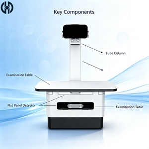 Système de <span class=keywords><strong>radiographie</strong></span> numérique DR vétérinaire avec détecteur à panneau plat durable pour hôpital vétérinaire (chats, chiens, animaux) - Product Image 1