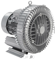 Souffleur latéral industriel 20HP 15kW 17.5kW triphasé 380V, pompe à vide pour l'aération des eaux usées