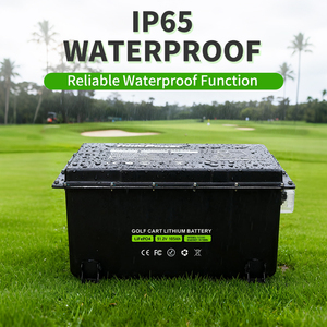 Customizable <b>48V</b> 51.2V 65Ah 100Ah 105Ah 200A Smart BMS 6000Cycle 76.8V Golf Cart <b>Battery</b> Pack LiFePO4 Lithium Ion Various Colors - Product Image 1
