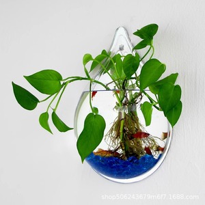 Jardinière hydroponique murale ovale en plastique 2,5 L, accessoires d'<span class=keywords><strong>aquarium</strong></span>, station de propagation créative suspendue pour Pothos et Lierre - Product Image 5