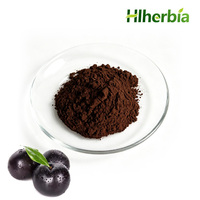 Poudre de prune noire 100% pure et naturelle - Poudre de prune noire de qualité alimentaire - Stock d'usine disponible