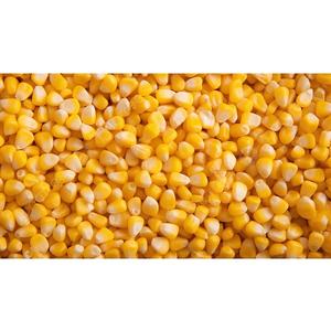 Maíz liofilizado hecho de maíz dulce real ligero y crujiente aperitivo o ingrediente de cocina perfecto para sopas ensaladas preparación de comidas - Product Image 2