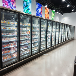 Congelador vertical de exhibición con puerta de vidrio para supermercado, refrigerador y congelador con puerta de vidrio, serie DDW, congelador con puerta de vidrio D - Product Image 4