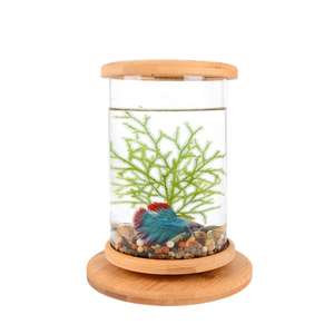Flacon écologique en verre pour <span class=keywords><strong>Aquarium</strong></span>, <span class=keywords><strong>Mini</strong></span> accessoire de décoration rotative, bouteille écologique - Product Image 5