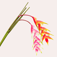 Flor de Piña Artificial Realista al por Mayor, Planta de Bromelia Tropical para Paisajes de Boda, Pedido a Granel Personalizable