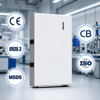 Batterie de stockage domestique solaire LiFePO4 intégrée 51,2V 100Ah 200Ah 314Ah montée sur rack 5kWh 10kWh 16kWh avec ports CAN/RS485 CE UN38.3