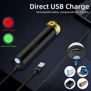 USB <b>Rechargeable</b> Lithium-Ion IP44 Waterproof Aluminum Alloy 365nm UV Black <b>Light</b> Flashlight Portable Mini Ultraviolet Camping - Product Image 3
