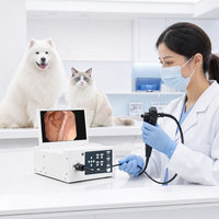 Système d'endoscopie électronique vétérinaire JLE-V1000, appareil de diagnostic médical portable, construction en métal et plastique, garantie 1 an