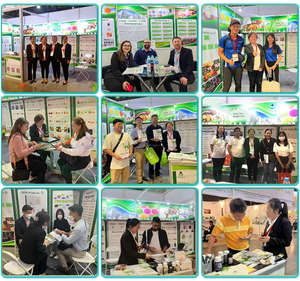 Produk teh CNY kapsul Vitamin Adenium alami OEM - Product Image 5