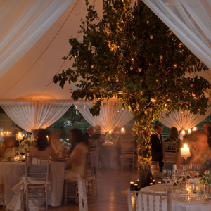 Carpa Grande para Fiestas al Aire Libre, Carpa Plegable de Lona para Eventos, Carpa para Bodas con Postes, Carpas Extensibles para Eventos, para 100 Personas - Product Image 4