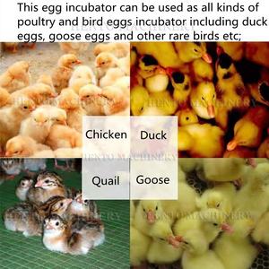 Vente automatique électrique d'incubateur d'oeufs d'opération facile/incubateurs d'oeufs pour le poulet/oeufs d'incubateur - Product Image 5