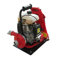 Mini pompe à eau centrifuge monophasée portable pour incendies forestiers OEM 2,2 kW 3,86 L/s