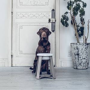 Eco-Friendly Tall Ergonomic Ceramic <b>Pet</b> <b>Bowl</b> Elevated Raised Design for Comfort Small Dog Cat Water Food <b>Feeder</b> Health - Product Image 6