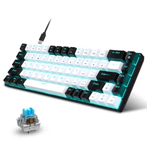 Ergonômico Dual-Color Injection Keycaps Novo 68-Key Wired Teclado Mecânico Gaming Hot-Swappable Interruptor Azul Ice Blue Laptop - Product Image 6