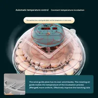 Incubateur domestique intelligent entièrement automatique, taux d'éclosion de 99 %, double alimentation pour œufs d'oie, de pigeon, de perroquet et de poulet