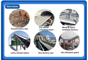 Imán <span class=keywords><strong>para</strong></span> Banda Transportadora Serie Rcyb <span class=keywords><strong>para</strong></span> Separar Hierro del Balasto - Product Image 6