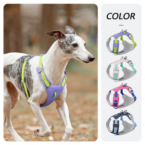 Conjunto de Coleira e Arnês para Cães Atacado - Mais Vendido, Ajustável, Nylon Refletivo, Coleira Anti-Puxão para Cães com Guia - Product Image 2