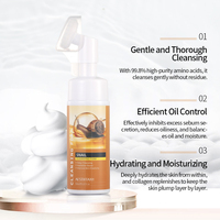 Nettoyant Visage Moussant Hydratant et Purifiant en Profondeur aux Extraits Végétaux, à la Bave d'Escargot, à la Vitamine C et à l'Acide Hyaluronique (OEM/ODM)