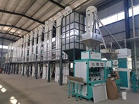 Élévateur à godets multifonctionnel ZhongXuan pour céréales (riz, maïs, blé) – Convoyeur pour machine de mouture, capacité 8 tonnes/heure