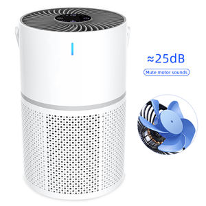 Purificatore d'Aria Portatile HEPA, Elettrodomestico per la Qualità dell'Aria, Purificatore d'Aria Intelligente con Filtro al Carbone HEPA e Ioni Negativi, USB Type-C - Product Image 1