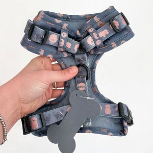 Pairui Индивидуальная торговая марка, дизайнерский жилет, набор поводков, бандана, собачья шлейка с биркой, название, полиэстер/нейлоновая Пряжка, крючок, петля - Product Image 3