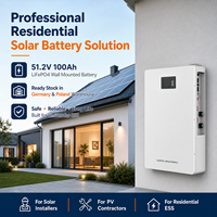 Batterie LiFePO4 murale élégante 51,2 V 100 Ah, stock local UE, stockage d'énergie domestique sûr et fiable pour système solaire, gain de place