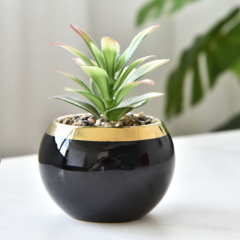 Black flower pot (without plants)