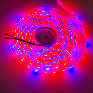 Phyto-<span class=keywords><strong>lampe</strong></span> LED en bande <span class=keywords><strong>pour</strong></span> <span class=keywords><strong>croissance</strong></span> de plantes sous 5m, éclairage <span class=keywords><strong>pour</strong></span> fleurs dans serre hydroponique, rouge et bleu - Product Image 5