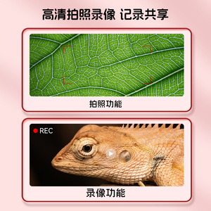 Microscopio digitale per bambini, <span class=keywords><strong>telescopio</strong></span> rosa portatile 2 in 1 per bambini di età compresa tra 4 e 6 anni, regalo di compleanno - Product Image 3