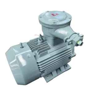 <strong>High</strong>-Torque IE4 Super Premium Efficiency Three-Phase Induction <strong>Motor</strong> For Industrial Pumps - Product Image 6