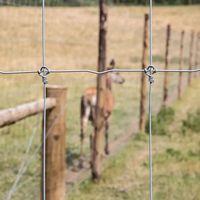 Valla Galvanizada Resistente para Jardín o Campo, Valla Robusta para Ganado, para Granjas y Ranchos, Alta Resistencia a la Tracción, con Articulaciones Abatibles, PVC Ecológico