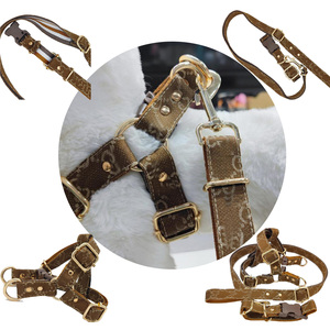 犬の首輪防水犬の首輪デザイナーペット犬のハーネス鎖と首輪 - Product Image 3