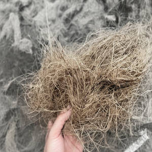 Fibra de coco de calidad de exportación fibra de coco procesada limpia fuerte perfecta para compradores mayoristas e industriales globales - Product Image 1