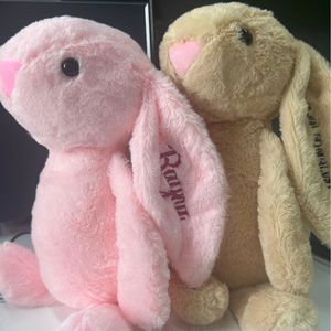 <span class=keywords><strong>Peluche</strong></span> Personalizzato OEM ODM di Coniglio Pasquale Colorato <span class=keywords><strong>con</strong></span> Orecchie Lunghe, Giocattolo Imbottito <span class=keywords><strong>con</strong></span> <span class=keywords><strong>Nome</strong></span> Personalizzato 30cm 40cm - Product Image 2