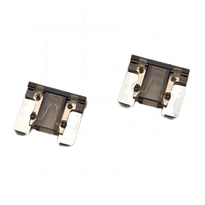 ROHS 2A bis 40A Maxi Standard Mini Micro2 Micro3 Low Profile Fahrzeug Auto Auto Sicherung Blade Sicherung für LKW PKW - Product Image 5