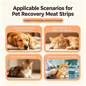 Integratore Nutrizionale per Animali Domestici Post-Operatorio, Strisce di Carne con Peptidi, Etichetta Privata Personalizzata, Vendita all'Ingrosso - Product Image 3