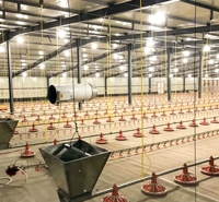 Système d'alimentation automatique pour poulets, ligne complète de mangeoires à plateau pour volailles, équipement d'élevage de poulets de chair pour ferme avicole